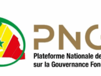 logo pngf
